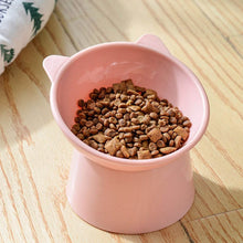 Plastic Multipurpose Bowl, Food Bowls (1 Pc) - dailyneed.life