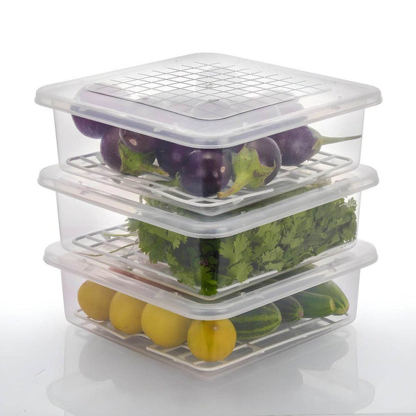 Plastic Food Storage Containers with Removable Drain Tray and Lid (3 Pcs Set) - dailyneed.life