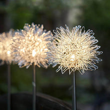 Solar Powered Dandelion Garden Lights (2 Pc) - dailyneed.life