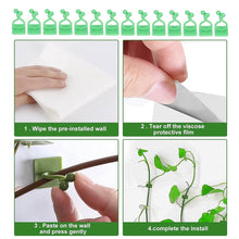 Plant Climbing Wall Fixture Clip Self-Adhesive Hook (100 Pcs Set) - dailyneed.life