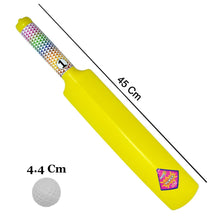 Plastic Cricket Bat Ball Set for Boys and Girls - dailyneed.life