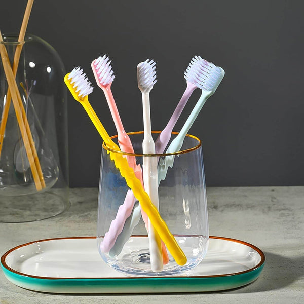 Plastic Toothbrush With Plastic Round Box (20 pcs Set) - dailyneed.life
