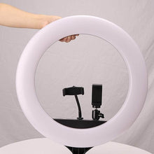 18 Inch LED Ring Light with 3 Colour Modes & 3 Mobile Holders, Remote Control (1 Set) - dailyneed.life