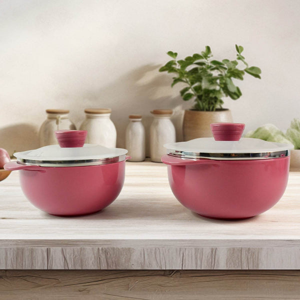 Apex Premium Plastic Serving Bowl Set with Lids (2 Pc) - dailyneed.life