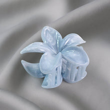 Matte Finish Hair Claw Clip (1 Pc / Mix Color) - dailyneed.life