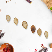 15 Varieties of Vegetable Seeds Combo (1 Pkt. / 15 Varieties) - dailyneed.life