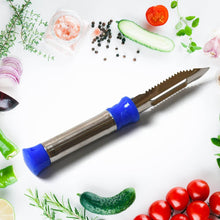 Stainless Steel 2-in-1 Vegetable Peeler - Multifunctional Grater with Hanging Ring (1 pc) - dailyneed.life
