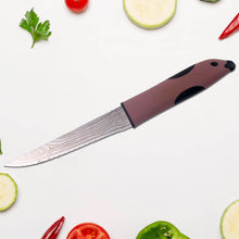 Multi-Purpose Stainless Steel Kitchen Cutting Knife (1 Pc) - dailyneed.life