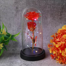 Elegant LED Eternal Rose in Plastic Dome (1 Pc / Battery Not included) - dailyneed.life
