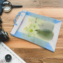 Plastic Transparent Bag With Handle (1 Pc / 34 x 26 Cm) - dailyneed.life