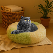 Ultra Soft Fluffy Pet Bed for Cats & Small Dogs – 1 Pc - dailyneed.life