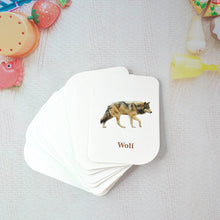 Kidkraft 32-Piece Animal Flash Cards Set - dailyneed.life