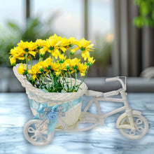 Plastic Cycle Flower vases for Home decor; Bicycle Flower Pot Stand - dailyneed.life