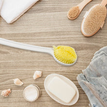 Body Back Scrubber Brush Long Handle (1 Pc / 40 CM) - dailyneed.life