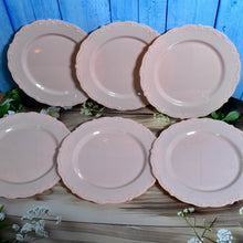 Plastic Dinner Plates Wedding Birthday Party Tableware Supplies (6 Pcs Set) - dailyneed.life