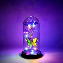 LED Preserved Rose with Colorful Butterfly in Plastic Dome (1 Pc & Mix Color) - dailyneed.life
