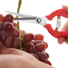 Heavy Duty Stainless Steel Cutter, Non‑slip Trimming Scissors Durable Not Easy To Wear for Gardening Pruning Of Fruit Trees Flowers and Plants (With Plastic Packing) - dailyneed.life