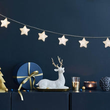 Home Decoration Diwali & Wedding LED String Light Indoor and Outdoor Light, Festival Decoration Led String Light, Multi-Color Light (1 Pc / Mix Design) - dailyneed.life