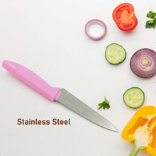 Sharp Fruit Knife (Stainless Steel, Comfortable Grip): 1 Pc - dailyneed.life