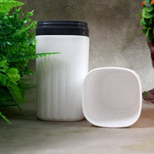 Plastic Hygienic Toothbrush Travel Portable Case - dailyneed.life