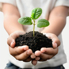 Organic Vermicompost Black Soil for Plants Health Manure (1 KG Approx) - dailyneed.life