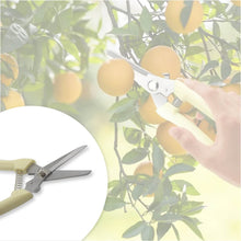 Garden Pruning Shears with Anti-Slip Handle Labor-Saving Fruit Tree Pruning Shears - dailyneed.life