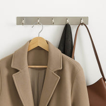Stainless Steel Wall Mounted Coat 5 Hook Rack (26x3 / 1 Pc) - dailyneed.life