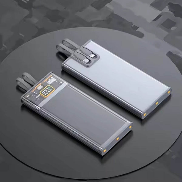 25W Fast Charging Power Bank (10000 mAh) - dailyneed.life