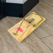 Wooden Mouse Rat Traps (1 Pc) - dailyneed.life