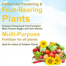 Mustard Cake Fertilizer For Plants 900gm - dailyneed.life