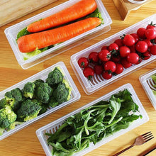 Vegetables & Fruits Freezer Storage Container (PACK OF 6PC 1500ML) - dailyneed.life
