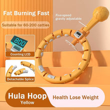 Smart Fitness Hula Hoops with Spinning Ball and Intelligent Counter (1 Pc / Loose) - dailyneed.life
