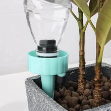 Auto Plant Watering Devices (1 Pc / Mix Color) - dailyneed.life