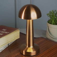 LED Lamp with Touch Control | Decorative Desk Lamp, Portable Metal LED Table Lamp - dailyneed.life
