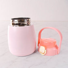 Stainless Steel Vacuum Insulated Water Bottle with Handle & Sticker (700 ML) - dailyneed.life