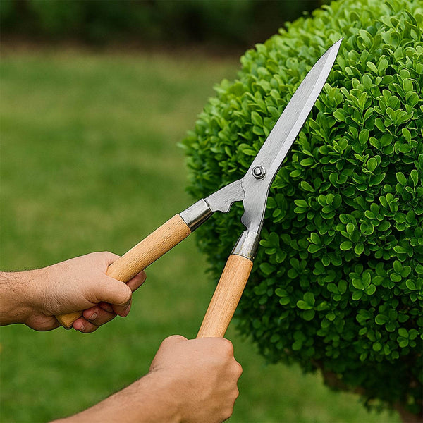 Wooden Handle Hedge Shears, Bush Clipper - dailyneed.life