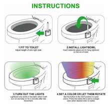 Toilet Light, LED Toilet Bowl Light Toilet Cover Lamp (1 Pc / Battery Not Included) - dailyneed.life