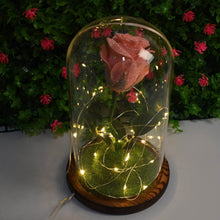 Glass Flower with Led Light Great Gift (1 Set) - dailyneed.life