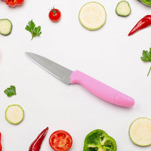 Sharp Fruit Knife (Stainless Steel, Comfortable Grip): 1 Pc - dailyneed.life
