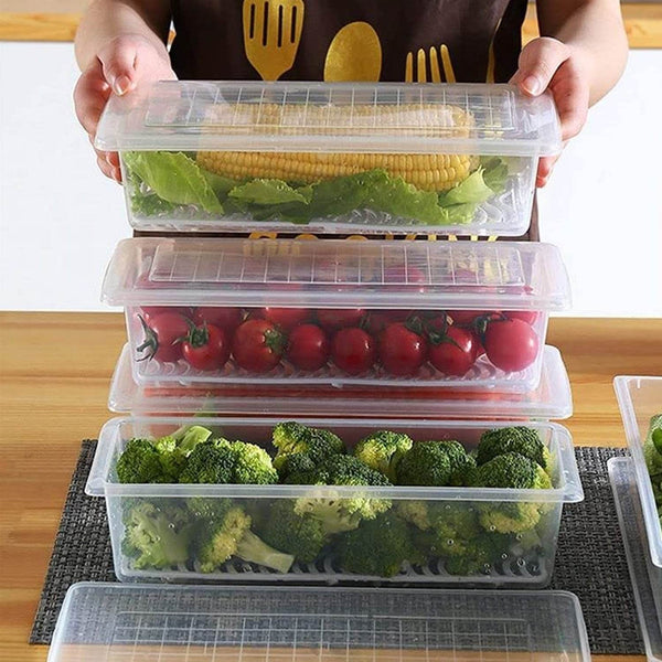 Vegetables & Fruits Freezer Storage Container (PACK OF 6PC 1500ML) - dailyneed.life