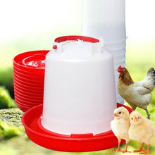Automatic Chicken Drinker Chicken Feeder with Humanized Handle - dailyneed.life