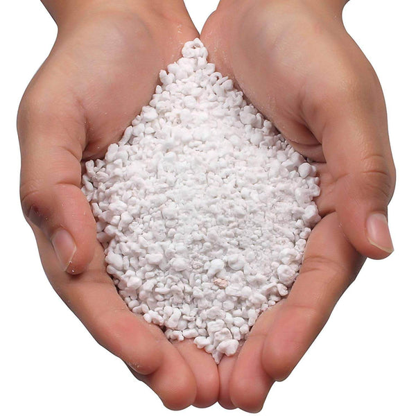 Paradise Perlite for Hydroponics &amp; Horticulture Terrace Gardening Soil Conditioner (250 GM) - dailyneed.life