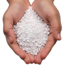 Paradise Perlite for Hydroponics & Horticulture Terrace Gardening Soil Conditioner (250 GM) - dailyneed.life