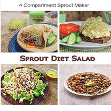 Plastic 4 Compartment Sprout Maker, White - dailyneed.life