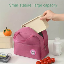 Lunch Box Bag for Women Men Insulated Lunch Bag With Zipper (1 Pc) - dailyneed.life