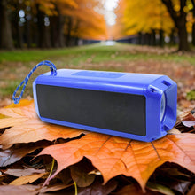 Portable Wireless Rechargeable Speaker Bluetooth Speaker (1 Pc) - dailyneed.life