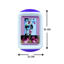 Medium Plastic Tray for Kitchen and General Purpose - dailyneed.life