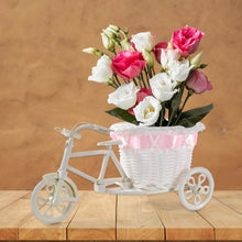 Plastic Cycle Flower Vases For Home Decor; Bicycle Flower Pot Stand (1 Pc) - dailyneed.life