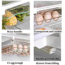 Egg Holder For Refrigerator Set Hanging Fridge Organizer Drawer (1 Pc) - dailyneed.life