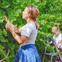 Garden Pruning Shears with Anti-Slip Handle Labor-Saving Fruit Tree Pruning Shears - dailyneed.life